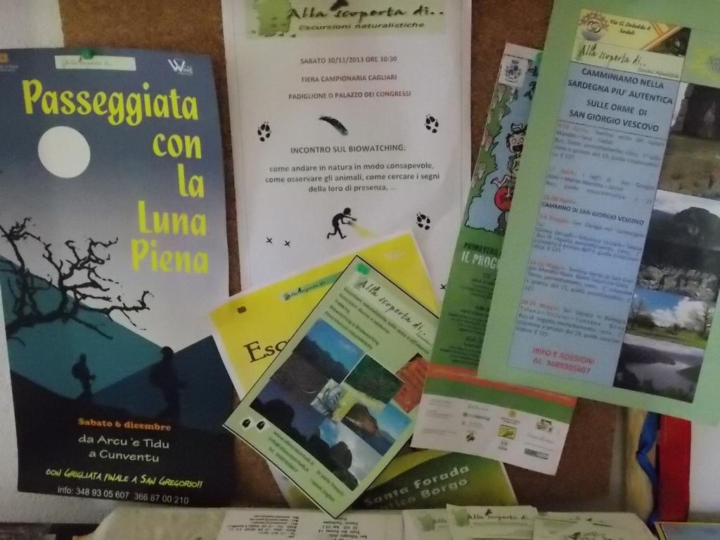 B&B Sette Fratelli San Gregorio  Zewnętrze zdjęcie
