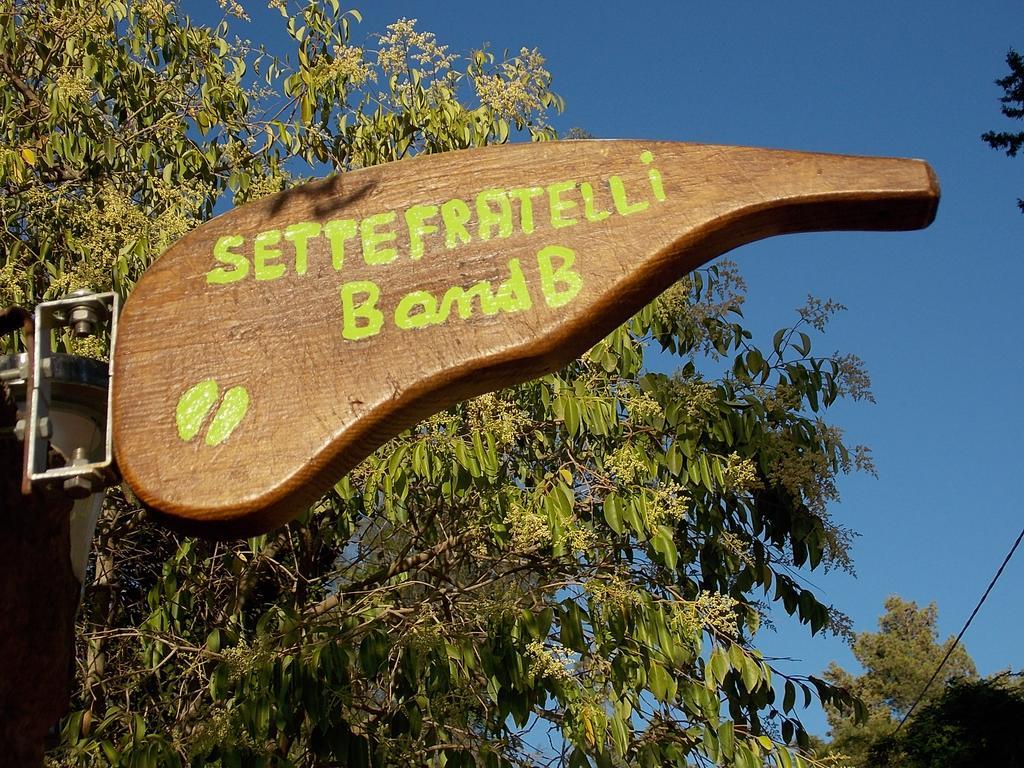 B&B Sette Fratelli San Gregorio  Zewnętrze zdjęcie