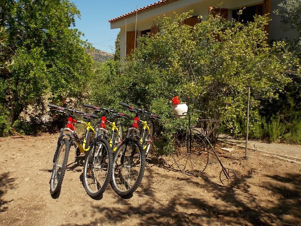 B&B Sette Fratelli San Gregorio  Zewnętrze zdjęcie