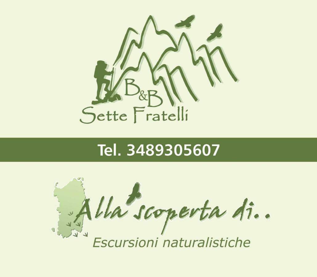 B&B Sette Fratelli San Gregorio  Zewnętrze zdjęcie